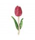 XSB285 - Korean Style Tulip Brooch